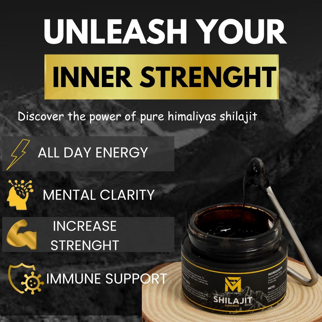 Mineral Forces Shilajit